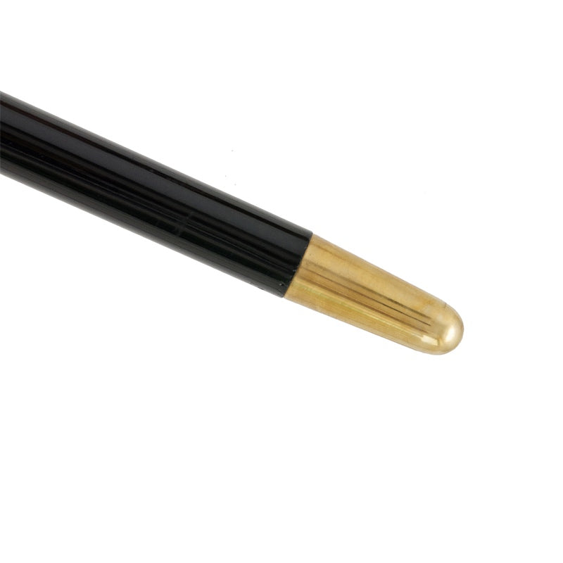 Bastone con leone dorato