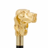 Stick with golden fido