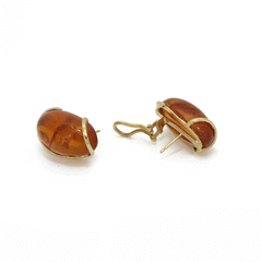 18K Gold and Amber Stud Earrings