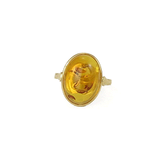 Amber and gold ring